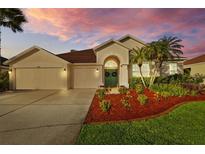 Charming single-story home featuring a well-manicured lawn, complemented by a three-car garage and a welcoming entrance at 11906 Middlebury Dr, Tampa, FL 33626