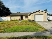 Charming single-story home featuring an attached garage and a traditional lawn at 13924 Pathfinder Dr, Tampa, FL 33625