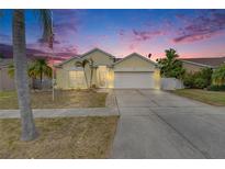 Charming one-story home featuring a well-manicured lawn, palm trees and a two-car garage at 221 Lakeway Ln, Apollo Beach, FL 33572
