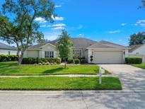 Charming single-story home with lush lawn, manicured landscaping, and neutral-toned exterior at 17311 Hubers Ct, Odessa, FL 33556