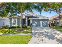 Charming single-story home featuring a well-manicured lawn, mature trees, and a two-car garage at 19505 Morden Blush Dr, Lutz, FL 33558