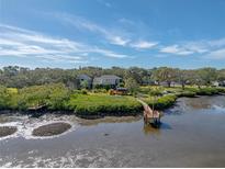 Waterfront property featuring private docks, lush greenery, and serene water views at 3484 Shore Dr, Safety Harbor, FL 34695