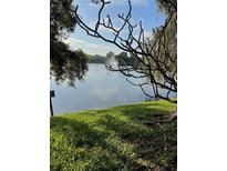 Scenic lake view featuring a water fountain and lush greenery, providing a tranquil and picturesque setting at 782 Village Lake N Ter # 102, St Petersburg, FL 33716