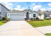 Charming one-story home featuring a well-maintained lawn and a two-car garage at 13061 Brookside Moss Dr, Riverview, FL 33579