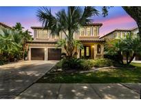 Charming two-story home featuring a two-car garage, lush landscaping, and a beautiful palm tree in the front yard at 20347 Chestnut Grove Dr, Tampa, FL 33647
