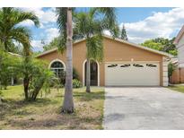 Charming single-story home with a two-car garage and a well-maintained front yard with palm trees at 3176 Duane Ave, Oldsmar, FL 34677