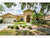 Charming single-story home with manicured lawn and mature tropical landscaping at 9229 Dayflower Dr, Tampa, FL 33647