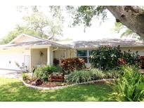 Charming single story home with a well-maintained and landscaped front yard featuring a variety of plants and trees at 1525 Albemarle Ct, Dunedin, FL 34698