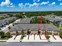 Aerial view of townhomes with beautiful landscaping, private driveways, and a picturesque community setting at 6225 Scarlet Darter Way, Tampa, FL 33625