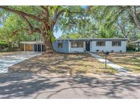 Charming single story home featuring a mature tree, blue accents, and manicured landscaping at 2003 E Clinton St, Tampa, FL 33610