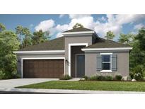 Charming one-story home boasts a well-manicured lawn, gray siding, and a two-car garage at 733 Sky Shade Dr, Apollo Beach, FL 33572