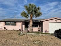 Charming single-story home featuring a front yard with decorative stones and a mature palm tree at 1148 Tamarac Dr, Holiday, FL 34690