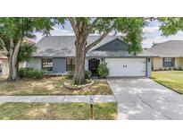 Charming single-story home featuring mature landscaping, a two-car garage and a well-maintained lawn at 1912 Blue Sage Ct, Brandon, FL 33511