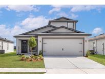 Charming single-Gathering home with a two-car garage, manicured lawn, and modern architectural details at 124 Hallam Ct, Spring Hill, FL 34606