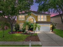 Charming two-story home featuring lush landscaping and a well-maintained front yard at 27231 Liriope Ct, Wesley Chapel, FL 33544