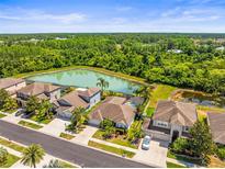 Beautiful aerial view of the homes, neighborhood, and surrounding landscapes and lake at 9632 Asbel Estates St, Land O Lakes, FL 34638