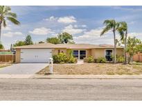 Charming single-story home with attached garage, mature landscaping, and a well-maintained front yard at 1170 Chelsea Ln, Holiday, FL 34691