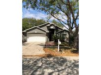 Charming single-Gathering home featuring a two-car garage, traditional landscaping, and inviting front entrance at 3314 Pine Top Dr, Valrico, FL 33594