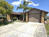 Charming single-story home featuring a two-car garage, stone accents, and a well-manicured front yard with a palm tree at 3532 Overland Dr, Holiday, FL 34691