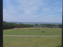 View of golf course from lanai with golf carts, trees and the Gulf at 2618 Cove Cay Dr # 403, Clearwater, FL 33760