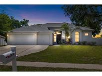 Charming single-Gathering home featuring a well-maintained lawn, three-car garage, and lush landscaping at 2019 Rutherford Dr, Dover, FL 33527