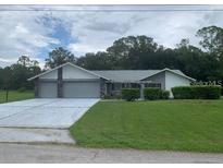 Charming single-story home with a large front lawn and a two-car garage at 35209 Dolphin Lake Dr, Zephyrhills, FL 33541