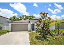 Charming single-story home with a well-manicured lawn and a two-car garage in a sunny neighborhood at 13419 Willow Bluestar Loop, Riverview, FL 33579