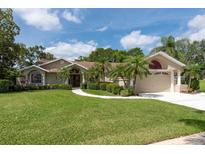 Charming single-story home featuring a well-manicured lawn and mature palm trees lining the walkway at 1551 Mcauliffe Ln, Palm Harbor, FL 34683
