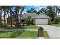 Charming single-story home with mature trees, a manicured lawn, and a two-car garage at 3808 Hollow Wood Dr, Valrico, FL 33594