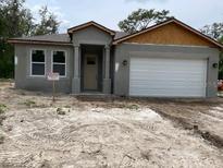 New construction home featuring neutral stucco exterior, attached two-car garage, and covered entryway at 8149 Cashew, Webster, FL 33597