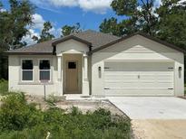 Charming single-story home featuring a two-car garage and a welcoming front entrance with an unfinished lawn at 8149 Cashew, Webster, FL 33597