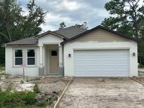 Charming single-story home with a well-manicured lawn and attached two-car garage at 8149 Cashew, Webster, FL 33597