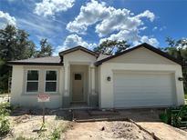 Inviting single-story home featuring a two-car garage and a covered front entrance, set against a bright, partly cloudy sky at 8149 Cashew, Webster, FL 33597