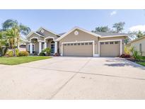 Charming home with a lush lawn, well-manicured landscaping, and a spacious three-car garage at 10016 Oxford Chapel Dr, Tampa, FL 33647