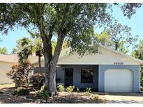 Charming single-story home with a well-maintained yard and mature landscaping at 10918 Freemont Dr, New Port Richey, FL 34654