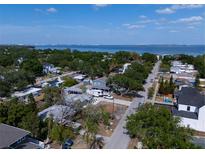 Scenic aerial view of a neighborhood with mature trees and a glimpse of the ocean in the background at 3021 W Helen Ave, Tampa, FL 33611