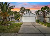Charming home with a well-manicured lawn, mature palm trees, and a concrete driveway at 23935 Coral Ridge Ln, Land O Lakes, FL 34639