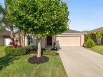Inviting single-story home featuring a manicured lawn, mature trees, and an attached two-car garage at 12620 Flatwood Creek Dr, Gibsonton, FL 33534