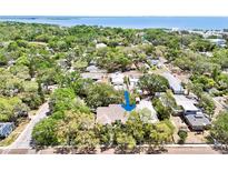 Stunning aerial view of the property, showcasing lush landscaping and its proximity to the bay at 316 5Th N Ave, Safety Harbor, FL 34695