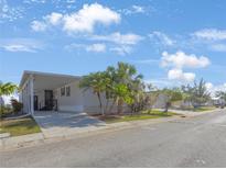 Charming single-story home with a covered carport and well-maintained landscaping featuring mature palm trees at 9416 Star Gazer Ln, Riverview, FL 33578