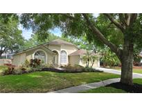 Charming single-story home with well-manicured lawn and mature landscaping at 15209 Arbor Hollow Dr, Odessa, FL 33556