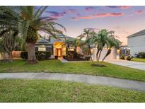 Charming single-Gathering home features a well-manicured lawn, mature palm trees, and a red front door at 27338 Hollybrook Trl, Wesley Chapel, FL 33544