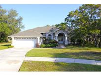 Charming single-story home featuring a well-manicured lawn, a two car garage, and mature trees at 63 Forest Wood Ct, Spring Hill, FL 34609