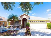 Charming single Gathering home featuring a well-manicured lawn and two-car garage at 10918 Lake Andover Blvd, Tampa, FL 33624
