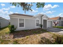 Charming single-Gathering home features a one-car garage, well-maintained lawn, and inviting curb appeal at 12419 Dawn Vista Dr, Riverview, FL 33578