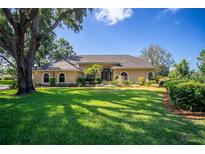 Expansive single-story home with well-manicured lawn, mature trees, and a circular driveway at 2513 Buckhorn Run Dr, Valrico, FL 33596