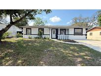 Charming single-story home featuring a well-maintained lawn and a welcoming entrance at 7017 Baywood Dr, Tampa, FL 33637