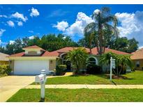 Charming single-story home featuring a well-manicured lawn, mature palm trees, and a welcoming front entrance at 923 Tuscanny St, Brandon, FL 33511