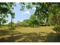 Expansive front yard with mature trees and a charming single-story home with a red-colored shed at 934 Jerry Smith Rd, Dover, FL 33527