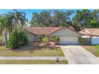 Well-maintained single-Gathering home with mature trees and landscaping on a sunny day at 1623 Carter Oaks Dr, Valrico, FL 33596